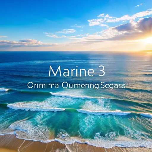 Principales fuentes de Omega-3 y cómo elegir el suplemento adecuado